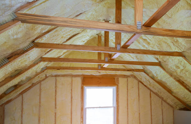 Professional Insulation Contractor in Stockbridge, GA